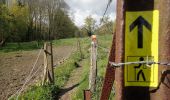 Tocht Stappen Chaumont-Gistoux - #210507 Dion-le-Mont, Pisselet et Louvranges - Photo 15