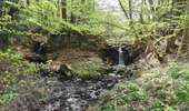 Percorso Marcia La Bourboule - Dordogne-StRoch-Liournat_fohet - Photo 6