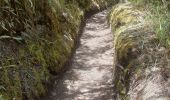 Trail Walking Quiroga - laguna Cuicocha - Photo 13