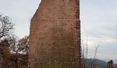 Trail Walking Eguisheim - Randonnée 5 châteaux - Eguisheim - château d'Hagueneck - château de Hohlandsbourg - trois châteaux d'Husseren - Photo 6