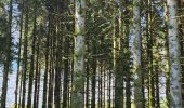 Trail Walking La Montagne - la montagne 70000  - Photo 1