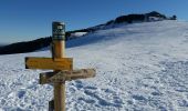 Randonnée Raquettes à neige Montaillou - Montaillou - Quercourt - Cassaula  - Photo 4