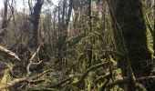 Randonnée Marche Lauroux - Cirque de Labeil - Lauroux-Labeil - Photo 12