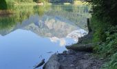 Tocht Stappen Bellevaux - lac de vallon et cascade - Photo 4