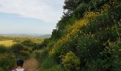 Excursión Marcha nórdica Le Bosc - Le Bosc Grandmont - Photo 7