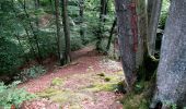Trail On foot Velbert - Astrath Rundweg A2 - Photo 3