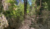 Trail Walking Omblèze - Canyon des gueulards - Photo 2