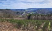 Trail Walking Bertrix - Auby sur Semois 140324 - Photo 5