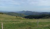 Trail Walking Breitenbach-Haut-Rhin - auberge Lameysberg  - Photo 12