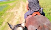 Trail Horseback riding Burthecourt-aux-Chênes - vermois1 - Photo 2