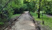 Tour Wandern Le Lamentin - Parcours de santé du morne Cabri  - Photo 3