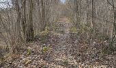 Trail Walking Anhée - Warnant - Haut le wastia, jonquilles - Photo 4