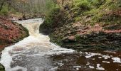 Tour Zu Fuß Jalhay - Jalhay ,pont de Bell heid 6 Km - Photo 15