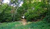 Trail Walking Choisy-au-Bac - en forêt de Laigue_9_06_2020_Chemin du Fau Bidaud et la Route de Royaumont - Photo 19