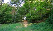 Randonnée Marche Choisy-au-Bac - en forêt de Laigue_9_06_2020_Chemin du Fau Bidaud et la Route de Royaumont - Photo 19