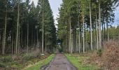 Trail Walking Raeren - A la découverte de Lichtenbusch 🥾 - Photo 8