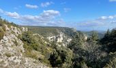 Randonnée Marche Bonnieux - PF-Bonnieux - Massif des Cèdres - Roque des Bancs - Les Portalas - AT - Photo 6