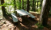 Trail Walking Saou - La Grande Combe en Forêt de Saoû - Photo 12