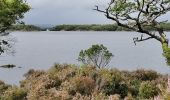 Randonnée Marche Killarney Municipal District - Irlande 2019-08 Muckross Lake - Photo 1