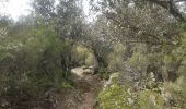 Trail Walking Maureillas-las-Illas - dolmen de la Siureda via tour Bel Ull - Photo 19