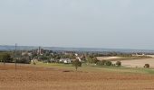 Randonnée Marche Champigny - Champigny 231011 - Photo 1