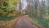 Trail Walking Sentheim - Montori - Photo 14