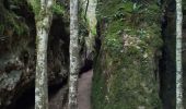 Tour Wandern Nant - Sce du D'ourson Léa Cabanelles - Photo 5