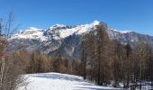 Randonnée Raquettes à neige Puy-Saint-Vincent - le vallon de Narreyroux - Photo 7