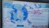 Tour Wandern Giffaumont-Champaubert - LAC du DER ... balade autour des étangs.  - Photo 7