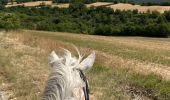 Trail Horseback riding Céreste - Provence 2025 J3 - Photo 16