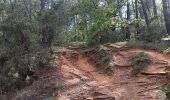 Excursión Senderismo Rustrel - visite et tour du Colorado Provençal  - Photo 4