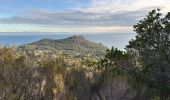 Excursión Senderismo Saint-Raphaël - Lacs esterel et tour Dramont - Photo 5