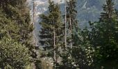 Trail Walking Chamonix-Mont-Blanc - Les Tines ,les Bois,les Mottets,Chamonix et retour par petit balcon sud - Photo 4