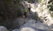 Trail Walking Ollioules - Destel azur  - Photo 14