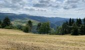 Trail Walking Prades - Prades - Photo 4