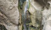 Trail Walking Gigondas - Dentelles Montmirail  - Photo 4