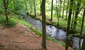 Percorso Marcia Jalhay - La balade des ruisseaux - Photo 5