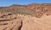 Tour Wandern Unknown - 2024 Vermillon Cliffs Edmaiers trail - Photo 15