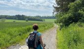 Trail Walking Yvoir - Houx 25,3 km - Photo 16