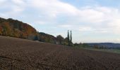 Excursión A pie Oberembrach - Ober Mettmenstetten - Embrach Oberdorf Bus - Photo 4