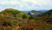 Randonnée Marche Cassis - Cassis - La couronne de Charlemagne - Cap canaille - Photo 15