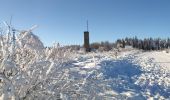 Randonnée Ski de fond Waimes - Les trois boucles des hautes fagnes - Photo 8