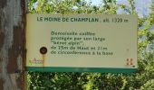 Tocht Stappen Albiez-le-Jeune - Albiez-le-Jeune - Le Moine de Champlan - Photo 2