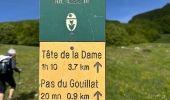 Trail  Omblèze - Plateau d’Ambel - Photo 9