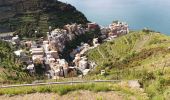 Tour Wandern Riomaggiore - manarola_coniglia - Photo 1