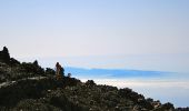 Trail On foot La Orotava - S-9 Sendero Teide-Pico Viejo–Mirador de las Narices del Teide - Photo 9