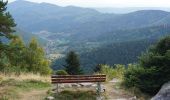 Randonnée Marche Luttenbach-près-Munster - Petit Ballon/Wasserbourg - Photo 1