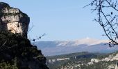 Randonnée Marche Monieux - Gorges de la Nesque - Photo 5