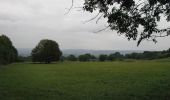 Tour Zu Fuß Baunatal - Baunatal-Altenritte, Rundweg 2 - Photo 6