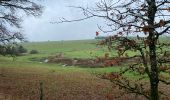 Randonnée Marche Libin - Ochamps, la Lesse 1 - Photo 10